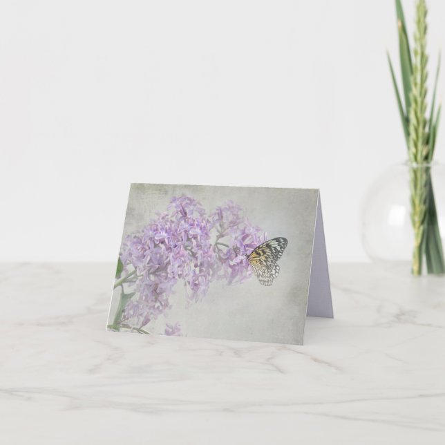 Carte papillon sur lilas pourpre (Devant)
