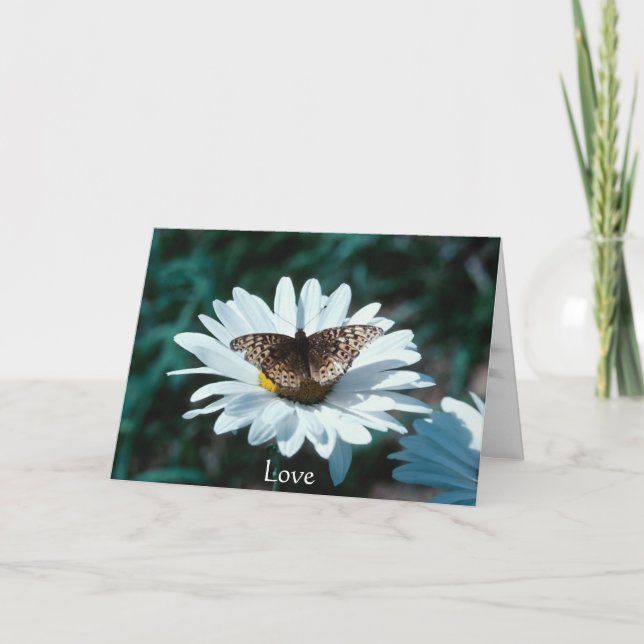 Carte Papillon sur une marguerite (Devant)