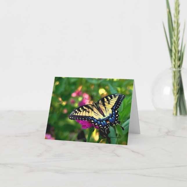 Carte Papillon Swallowtail (Devant)