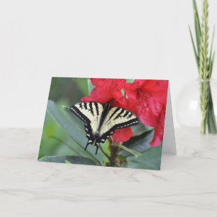 Carte Papillon Swallowtail avec Wings Open