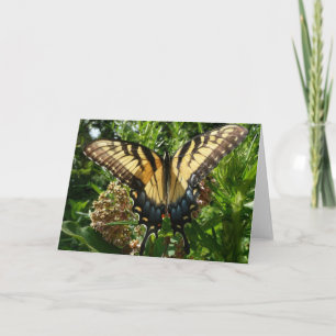 Carte Papillon Swallowtail III Belle Photo Colorée