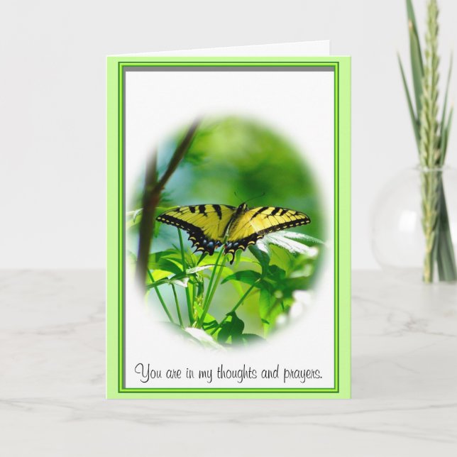 Carte Papillon Sympathie (Devant)