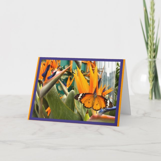 Carte Papillon Tigre ordinaire (Devant)