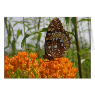Carte Papillon (vide à l'intérieur)
