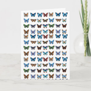 Carte Papillons