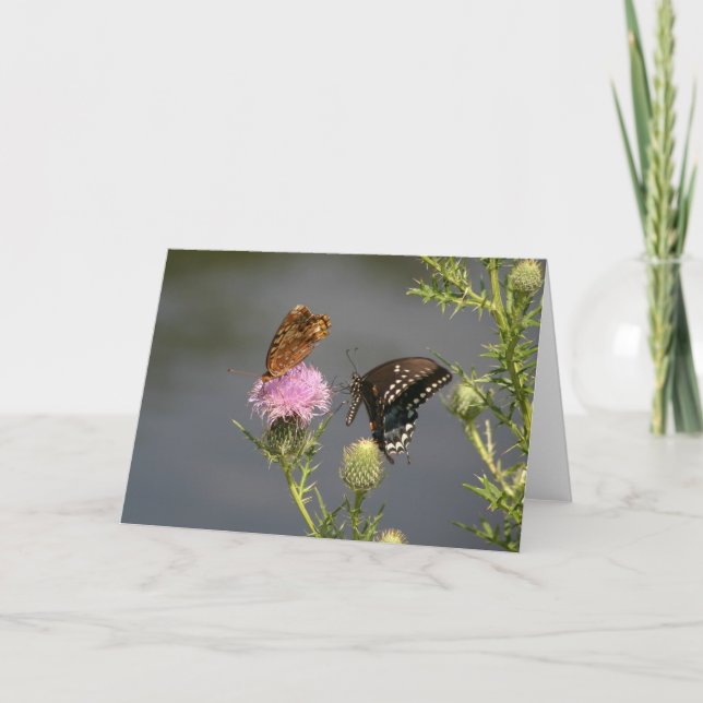 Carte Papillons (Devant)