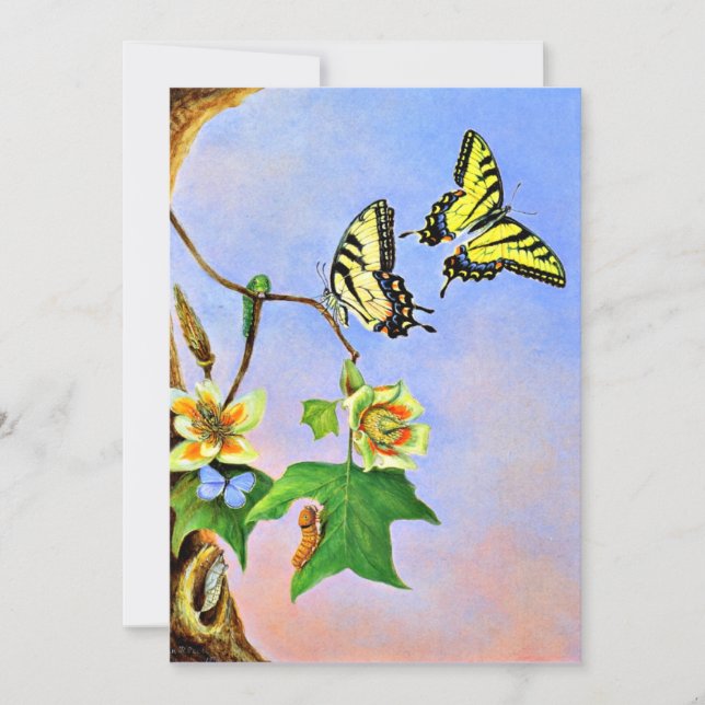 Carte Papillons, 1878 peinture (Devant)