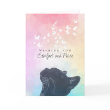 Papillons Blancs Arc-en-ciel Chat Sympathie Perte