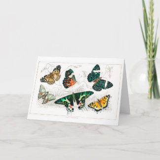 Carte Papillons colorés vintages Illustration Art