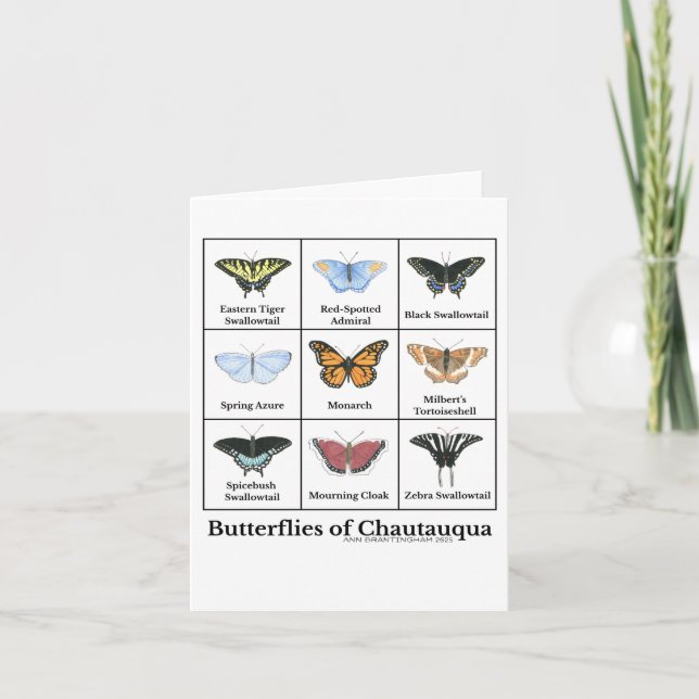 Carte Papillons de Chautauqua  (Devant)