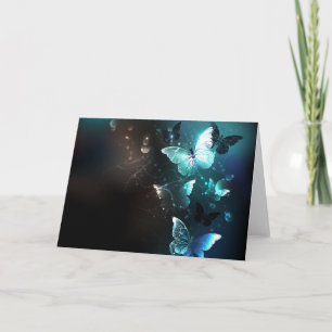 Carte Papillons de nuit