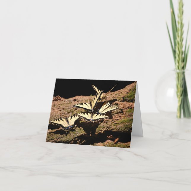 Carte Papillons en collines de Hocking, OH (Devant)