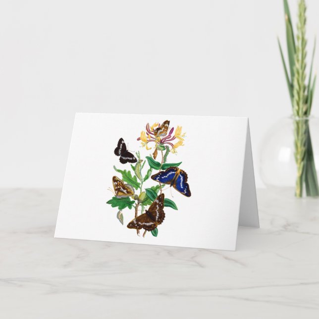Carte Papillons et Chèvrefeuille rouge (Devant)
