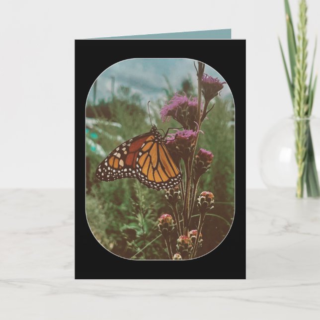 Carte papillons orange  (Devant)
