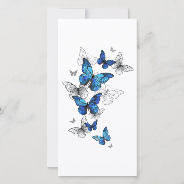 Carte Papillons volants bleus Morpho (Devant)