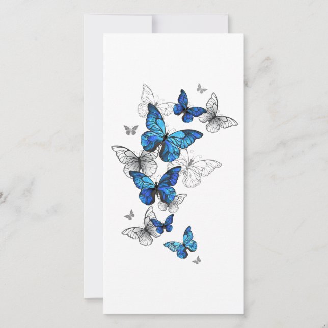 Carte Papillons volants bleus Morpho (Devant)