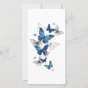 Carte Papillons volants bleus Morpho