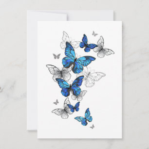 Carte Papillons volants bleus Morpho