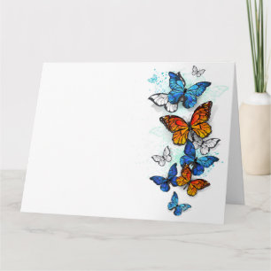 Carte Papillons volants Morpho et Monarch
