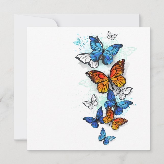 Carte Papillons volants Morpho et Monarch (Devant)