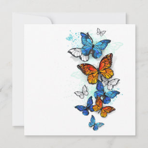 Carte Papillons volants Morpho et Monarch