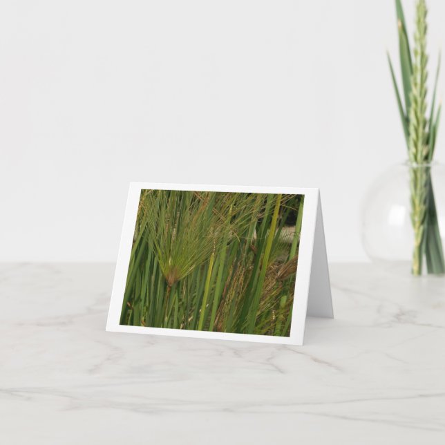 Carte Papyrus (Devant)