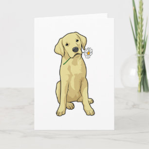 Carte Pâquerette du Labrador