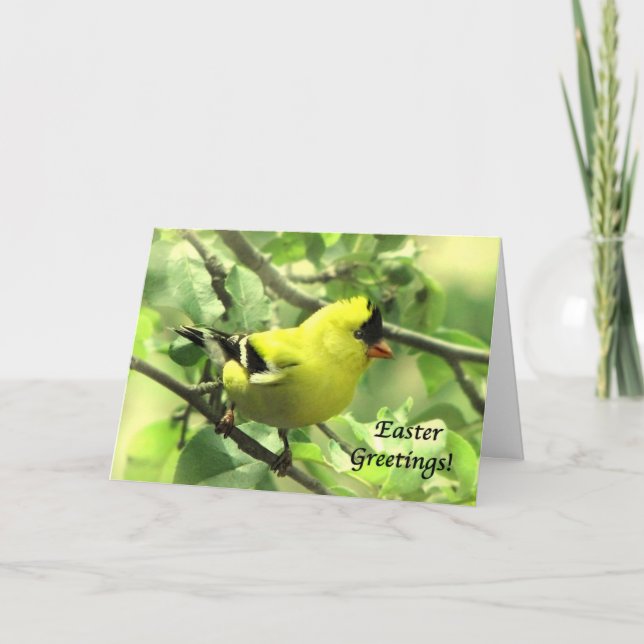 Carte Pâques Goldfinch (Devant)