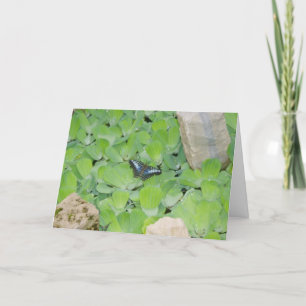 Carte Pâques "Papillon Bleu"