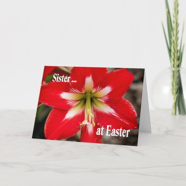 Carte Pâques pour Soeur avec Lily Rouge (Devant)