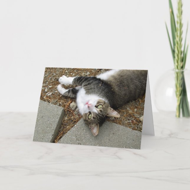 Carte Pâques Tabby Cat Updown (Devant)