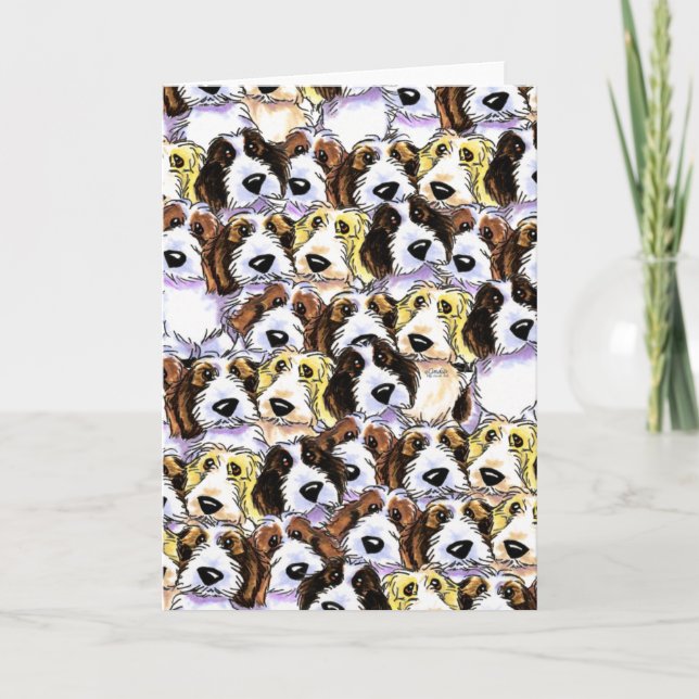 Carte Paquet de PBGV (Devant)