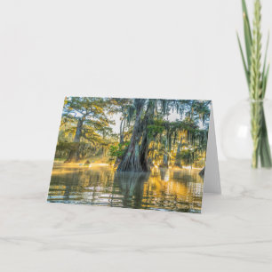 Carte Parc d'état du lac Fausse-Pointe