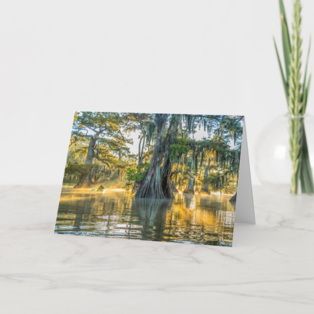 Carte Parc d'état du lac Fausse-Pointe (Devant)