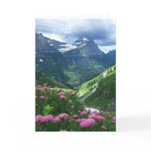 Parc national de glacier