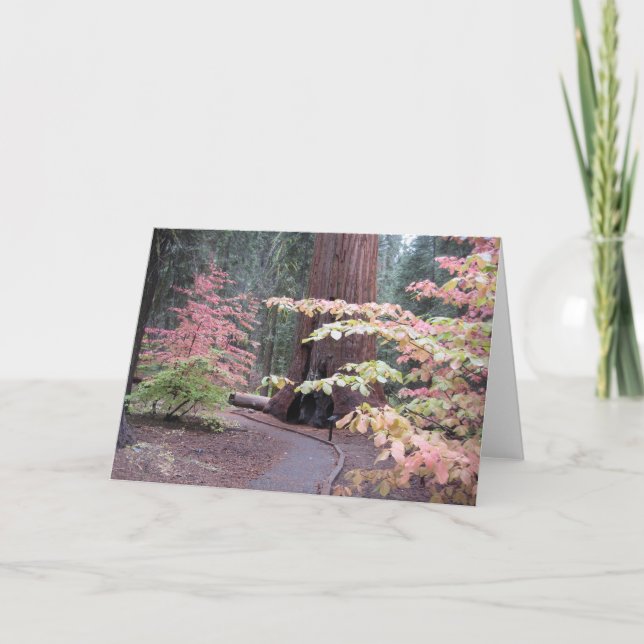 Carte Parc national de séquoia (Devant)