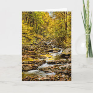 Carte Parc national des Great Smoky Mountains. Big Creek