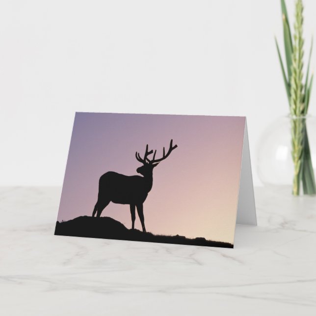 Carte Parc national du Mont Elk Rocky, Colorado (Devant)