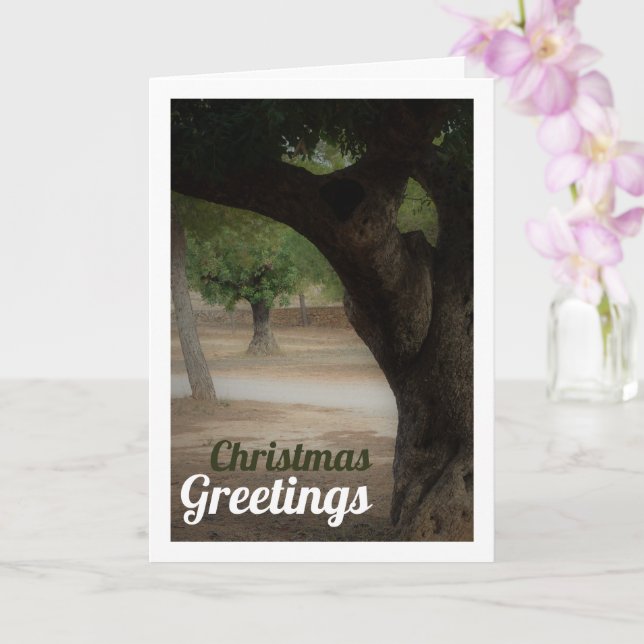 Carte Parc San Vicente Lliria, Valence (Orchidée)