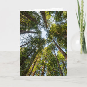 Carte Parcs national et d'État de Redwood, Californie