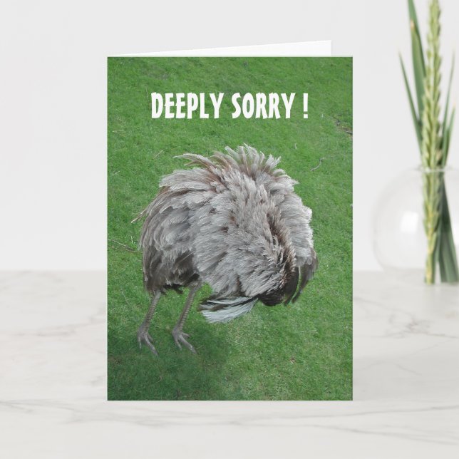 Carte Pardonne-moi ! (Devant)