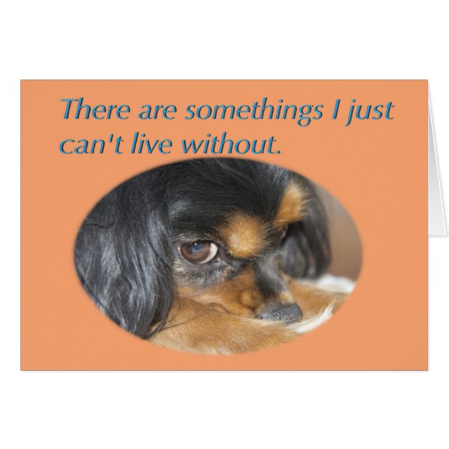 Carte Pardonne Moi Avec Cavalier King Charles Span (Devant horizontal)
