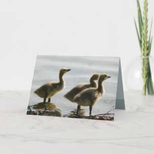 Carte Parement de la lumière