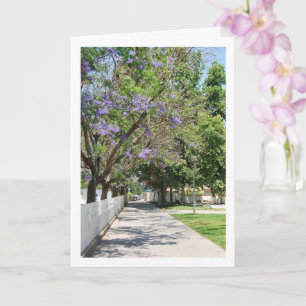 Carte Parque de la Bombilla, Lliria, Valence, Espagne