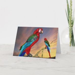 CARTE PARROS HYPER / ARBE ROUGE