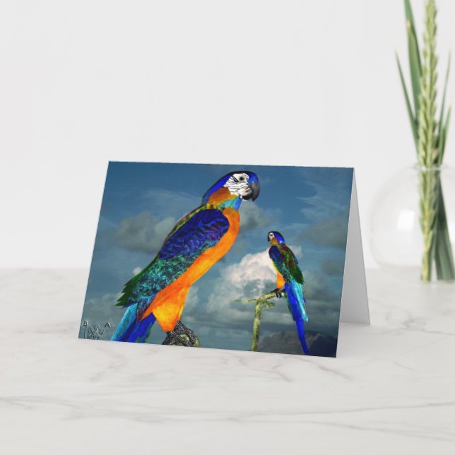 CARTE PARROS HYPER / BLEUE ARA (Devant)