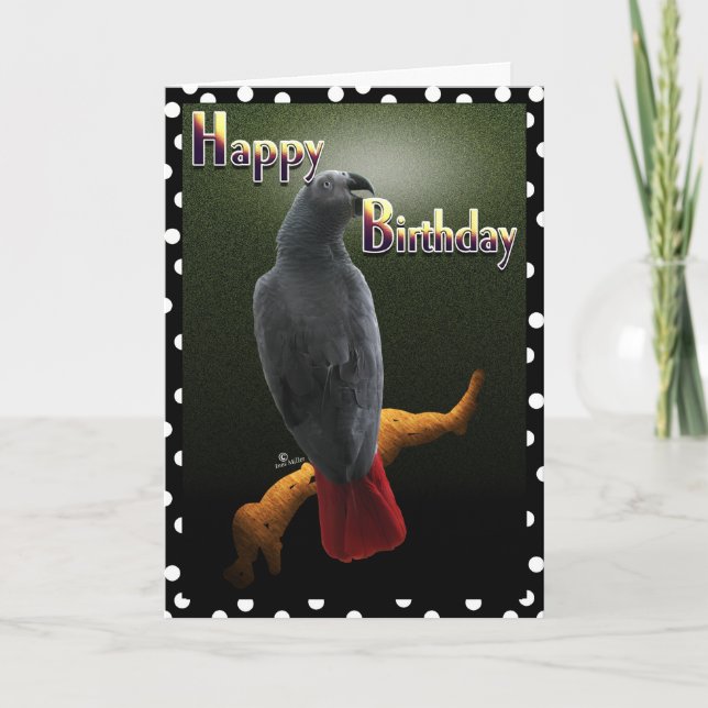 Carte Parrot African Grey Joyeux anniversaire Avian cart (Devant)