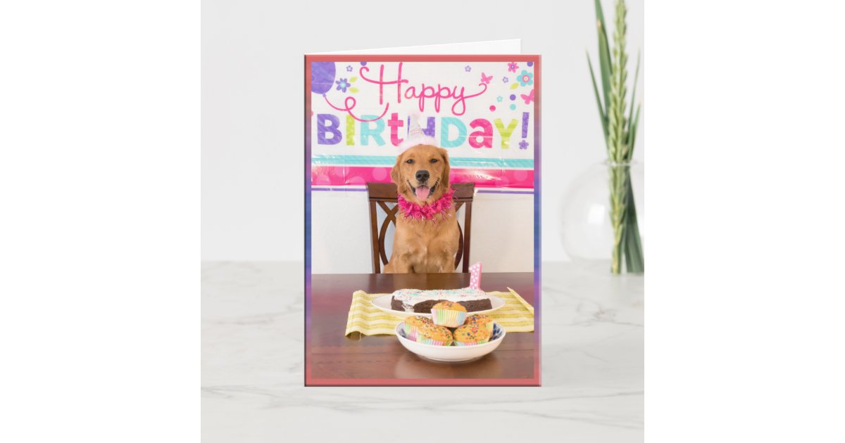 Carte Partie De Chien De Joyeux Anniversaire Avec Mon Zazzle Fr Carte Partie De Chien De Joyeux Anniversaire Avec Mon Zazzle Fr