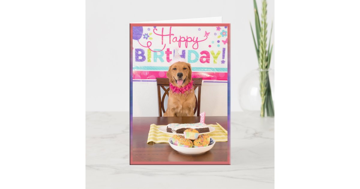 Carte Partie De Chien De Joyeux Anniversaire Avec Mon Zazzle Fr