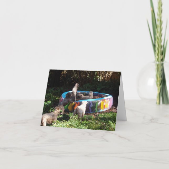 Carte Party Time! (Devant)